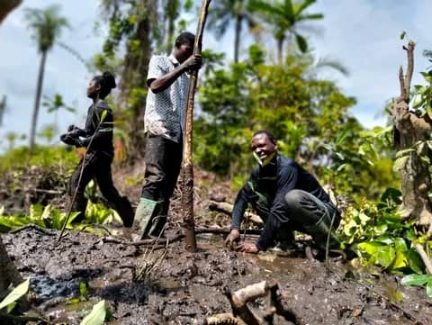 Team discussing conservation strategies